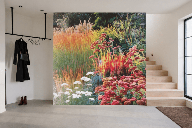 Crimson Grasses