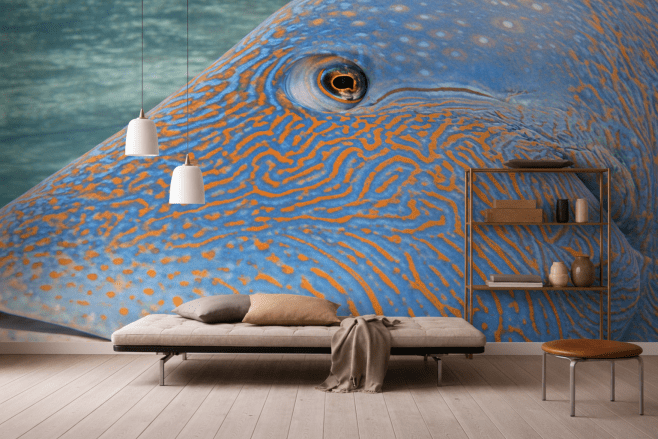 Dune Patterns