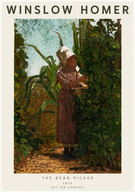 Winslow Homer The Bean Picker No4 - Poster