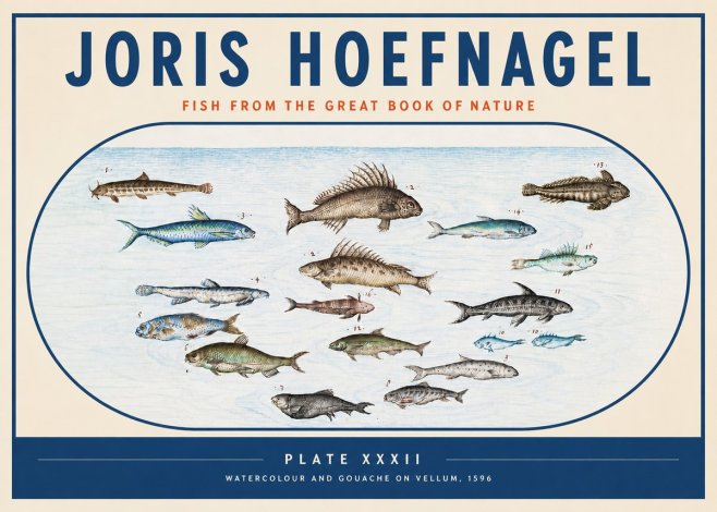 Joris Hoefnagel Fish from the Great Book of Nature No3 - Poster