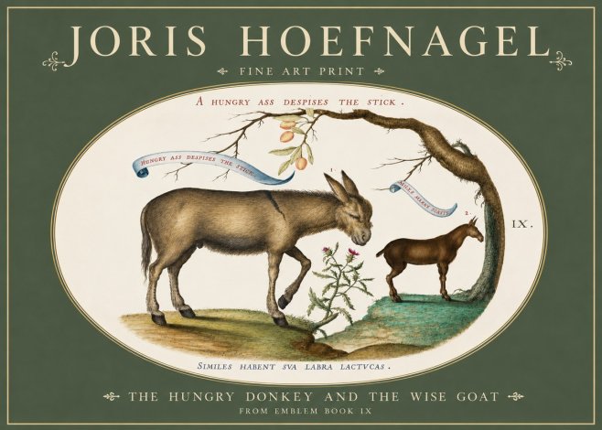 Joris Hoefnagel The Hungry Donkey and the Wise Goat No3 - Poster