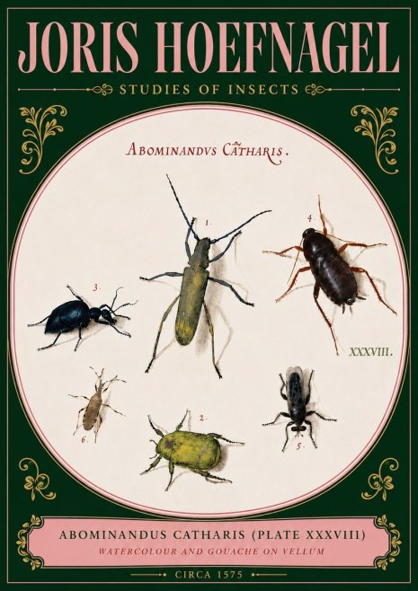 Joris Hoefnagel Abominandus Catharis (Plate Xxxviii) No5 - Poster