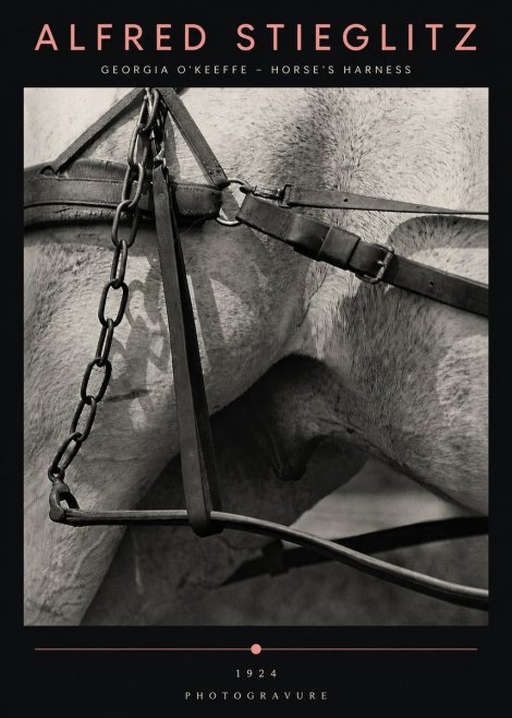 Alfred Stieglitz The Steerage I No5 - Poster
