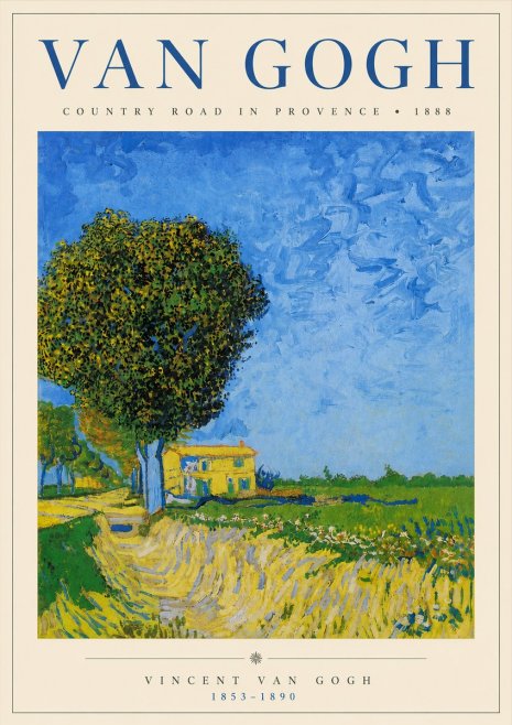 Van Gogh Country Road in Provence II No3 - Poster