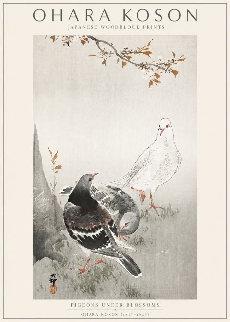 Ohara Koson Pigeons Under Blossoms No3 - Poster