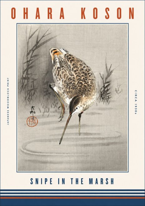 Ohara Koson Snipe in the Marsh No3 - Poster