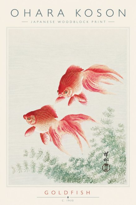 Ohara Koson Goldfish No6 - Poster