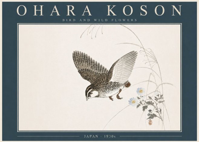Ohara Koson Bird and Wild Flowers No5 - Poster
