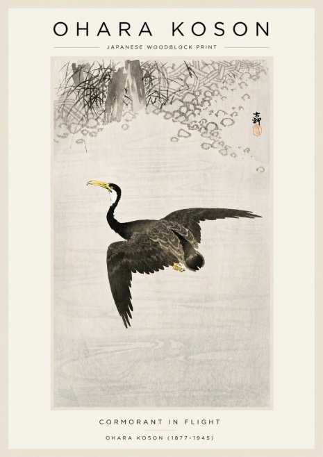 Ohara Koson Cormorant in Flight No3 - Poster
