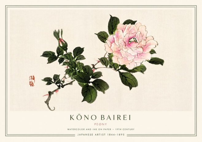 Kōno Bairei Peony I No3 - Poster