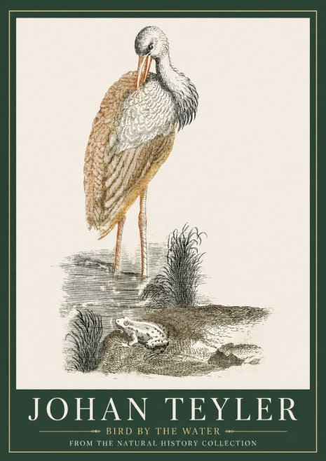 Johan Teyler Bird by the Water No3 - Poster