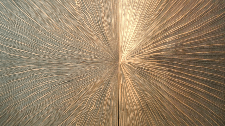 Vortex Veins