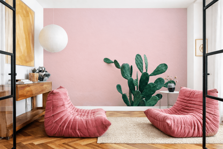 Cactus Horizon