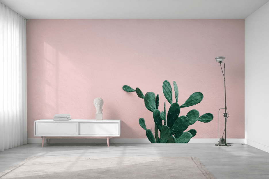 Cactus Horizon