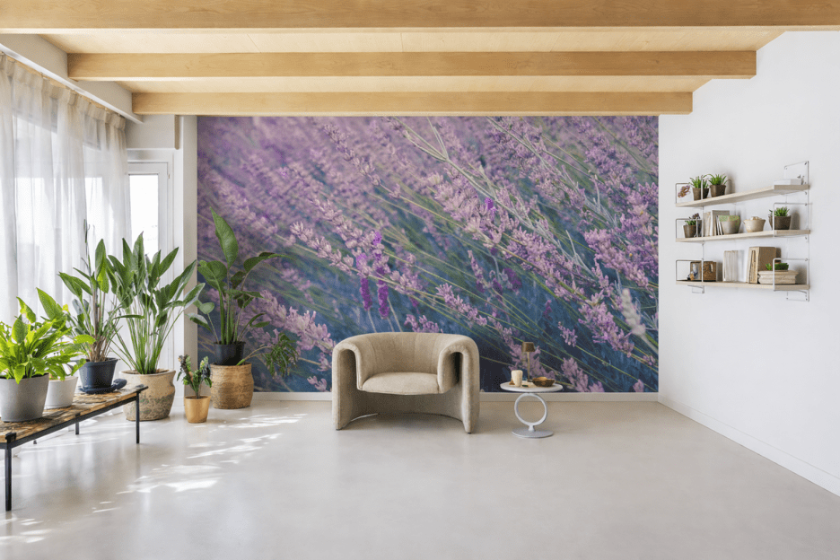 Lavender Fields