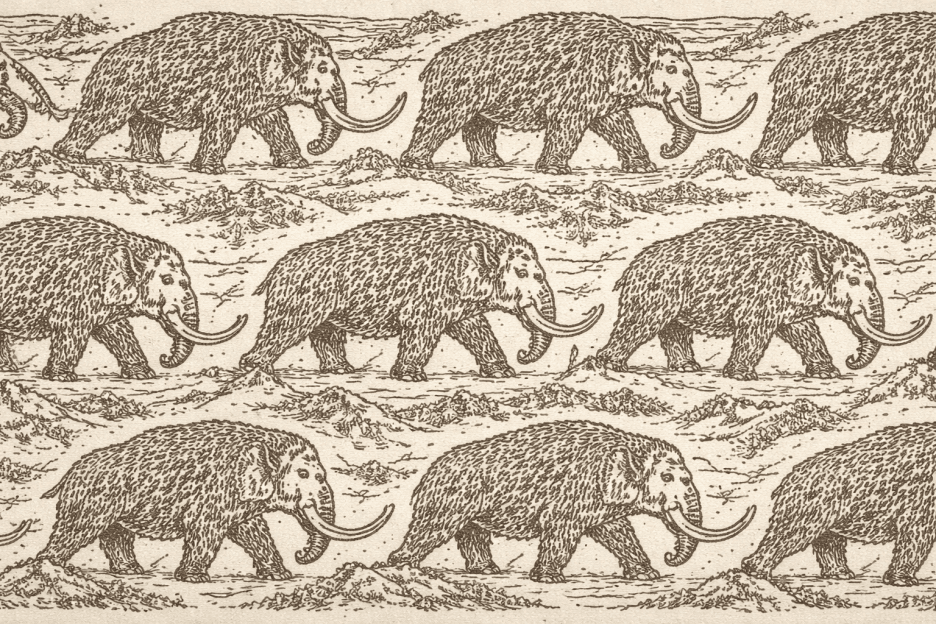 Mammoth Trek