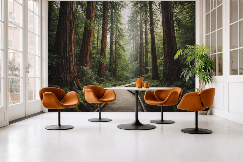 Redwood Reverie