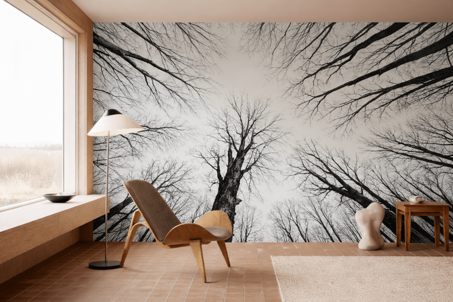 Twilight Canopy Ii