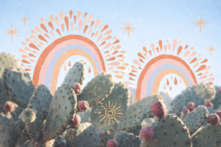 Prickly Radiance
