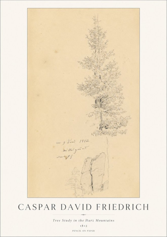 Caspar David Friedrich Tree Study in the Harz Mountains No1 - Poster
