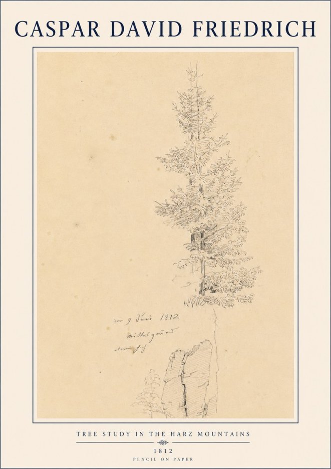 Caspar David Friedrich Tree Study in the Harz Mountains No4 - Poster