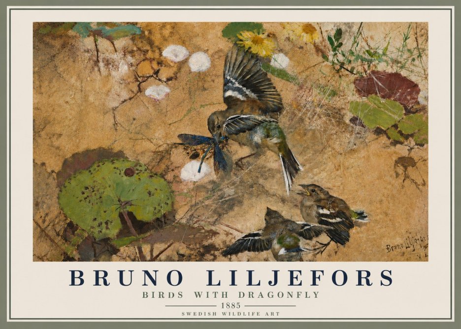 Bruno Liljefors Birds with Dragonfly No4 - Poster