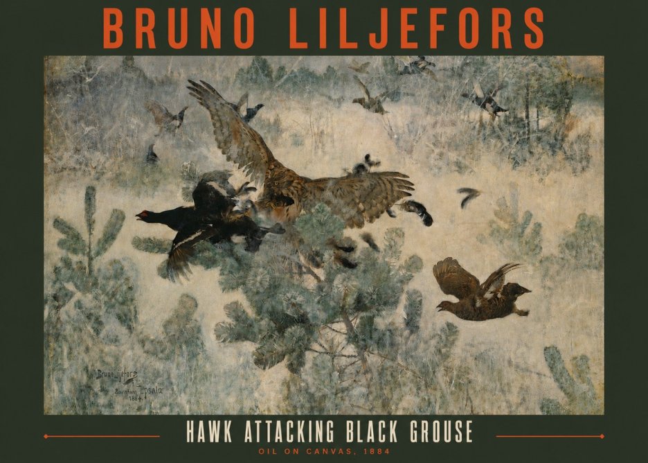 Bruno Liljefors Hawk Attacking Black Grouse No2 - Poster