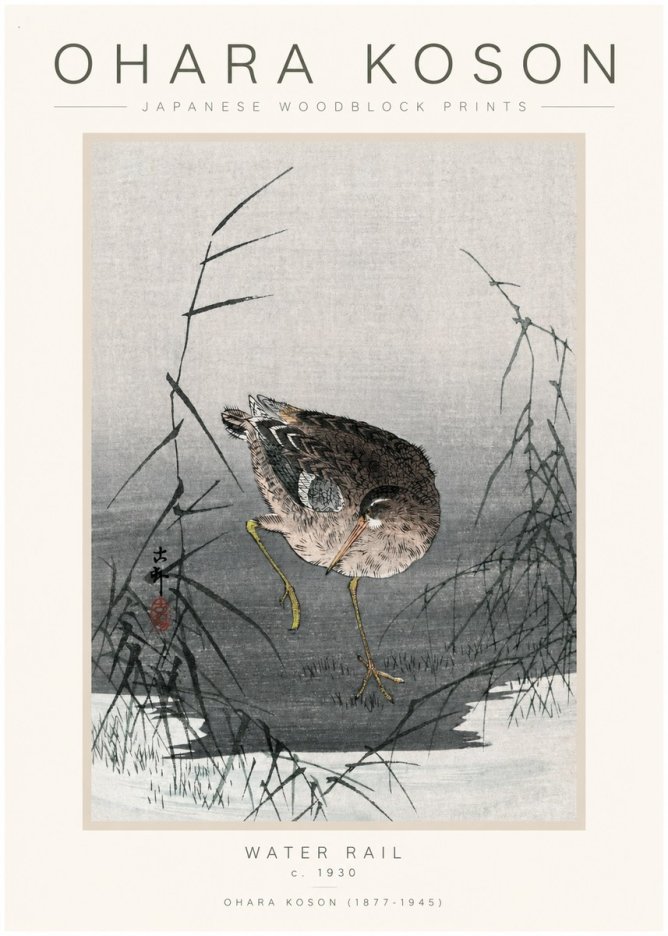 Ohara Koson Water Rail No1 - Poster