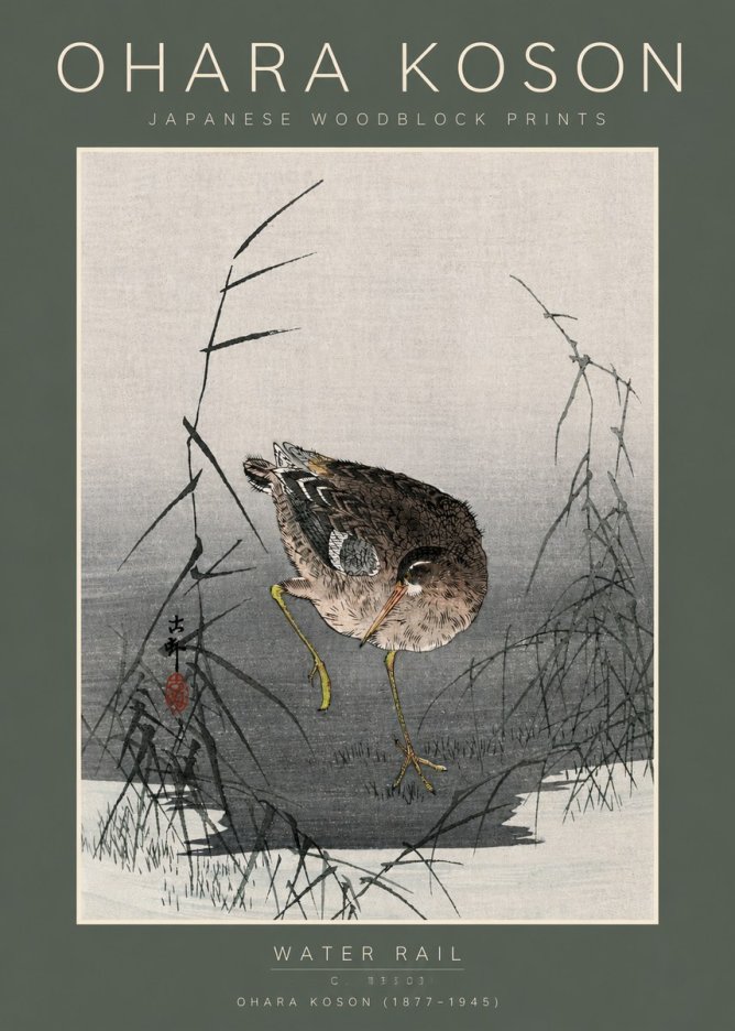 Ohara Koson Water Rail No5 - Poster