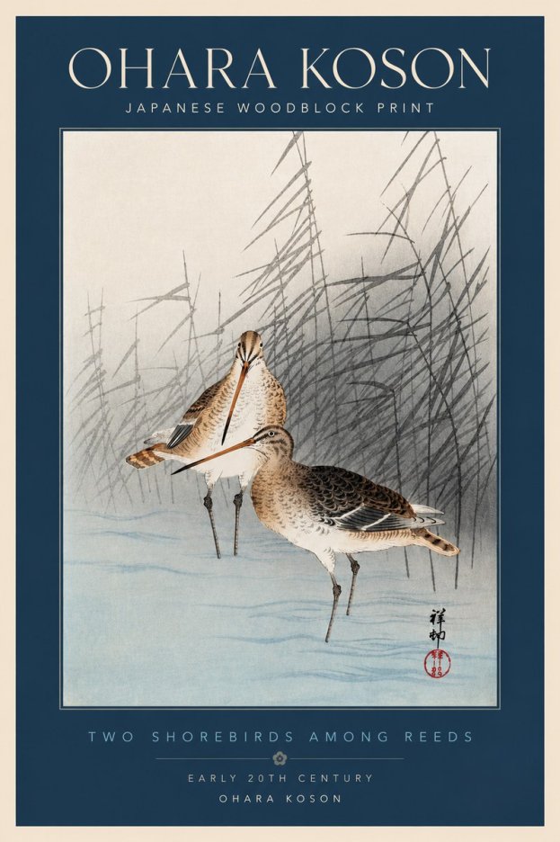 Ohara Koson Snipe in the Reeds No4 - Poster