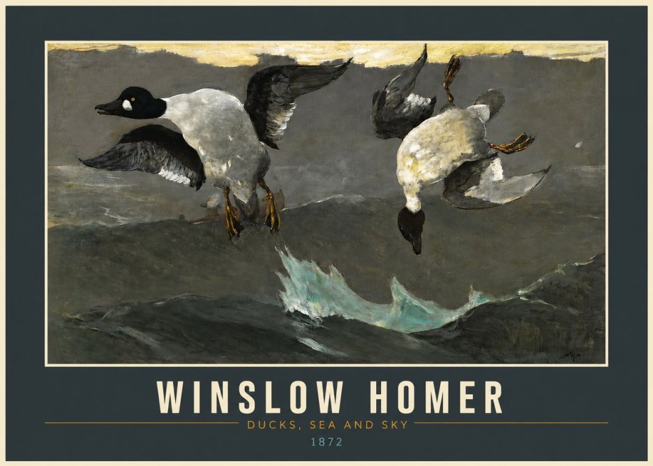 Winslow Homer Ducks, Sea and Sky No2 - Poster