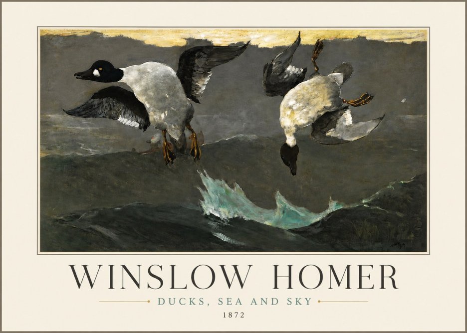 Winslow Homer Ducks, Sea and Sky No3 - Poster