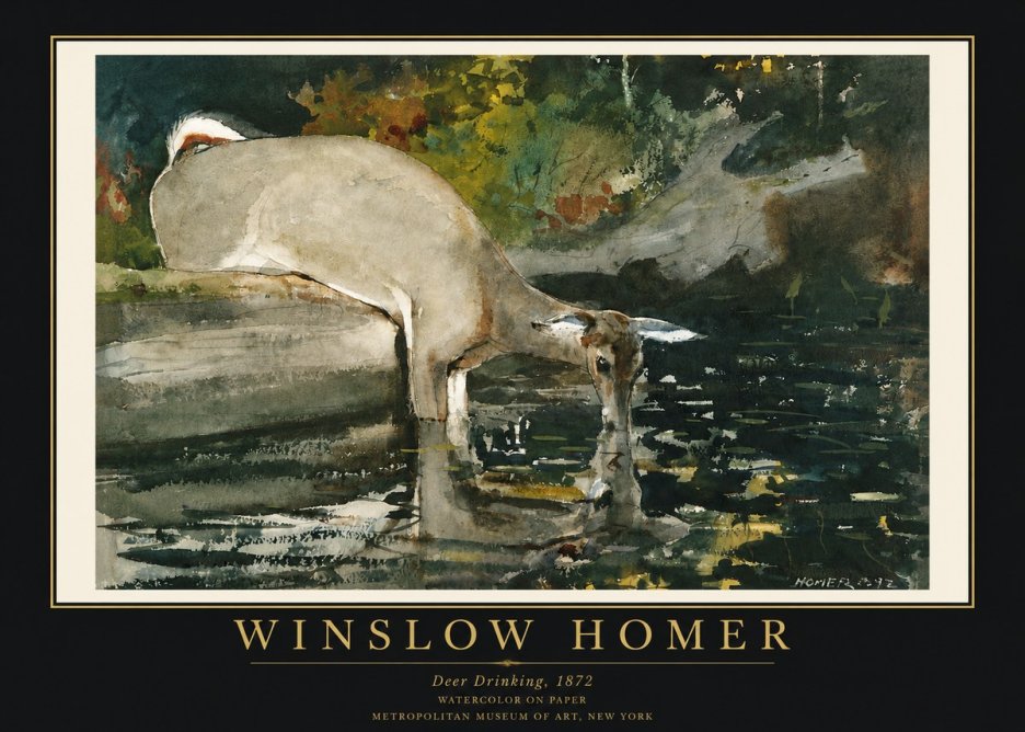 Winslow Homer Deer Drinking No3 - Poster