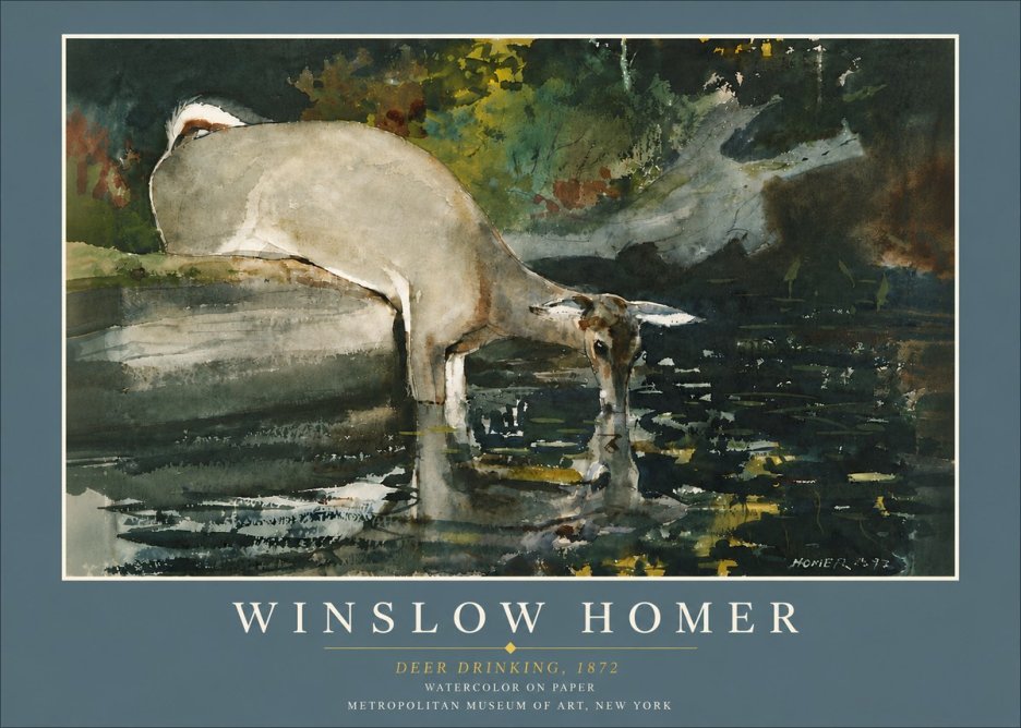 Winslow Homer Deer Drinking No6 - Poster