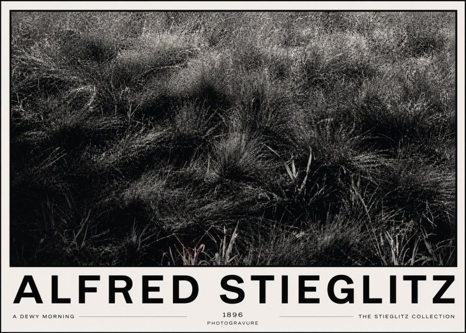Alfred Stieglitz A Dewy Morning No6 - Poster