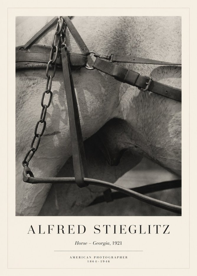 Alfred Stieglitz The Steerage I No6 - Poster
