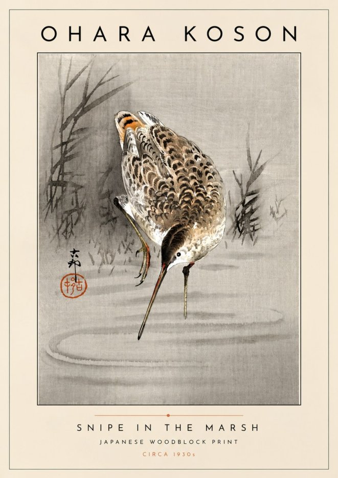 Ohara Koson Snipe in the Marsh No4 - Poster
