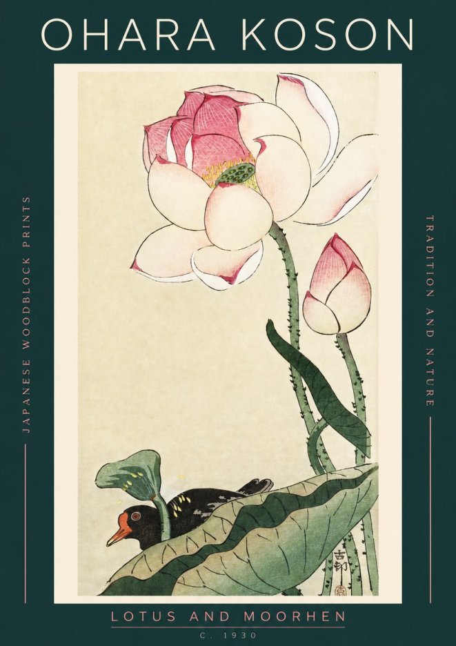 Ohara Koson Lotus and Moorhen No2 - Poster