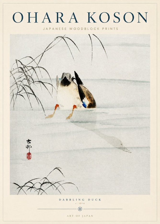 Ohara Koson Dabbling Duck No3 - Poster