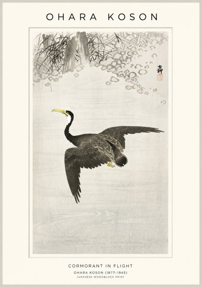 Ohara Koson Cormorant in Flight No1 - Poster