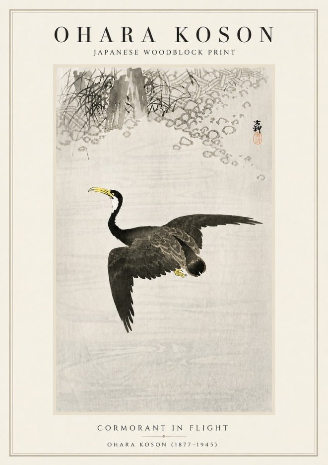 Ohara Koson Cormorant in Flight No5 - Poster