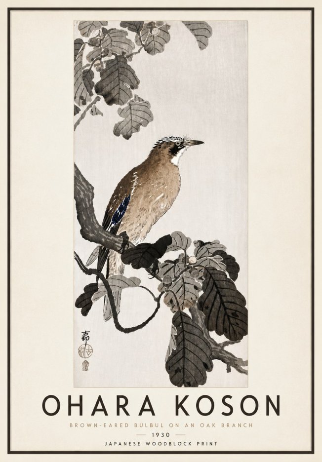 Ohara Koson Brown-eared Bulbul on an Oak Branch No4 - Poster