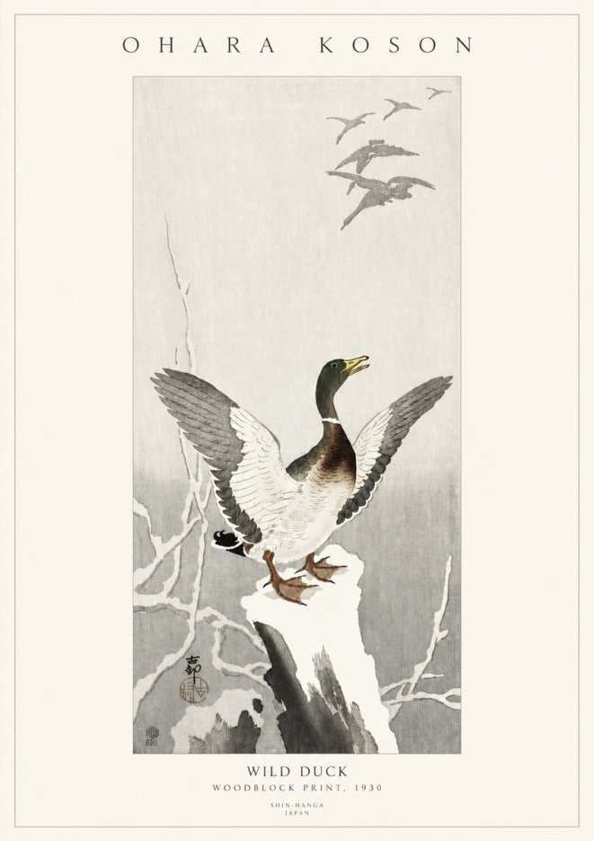 Ohara Koson Wild Duck No3 - Poster