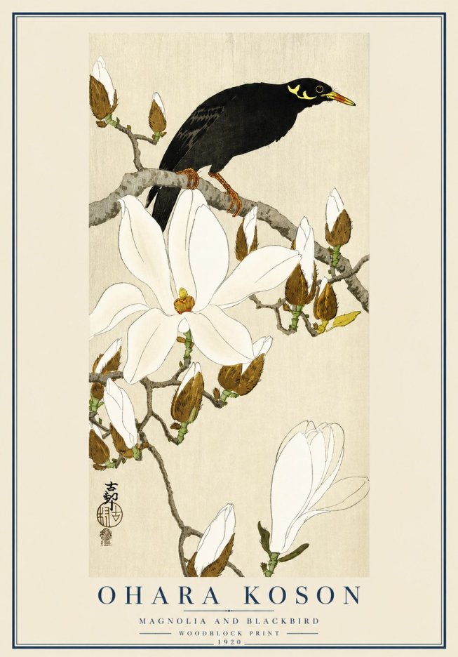 Ohara Koson Magnolia and Blackbird No3 - Poster