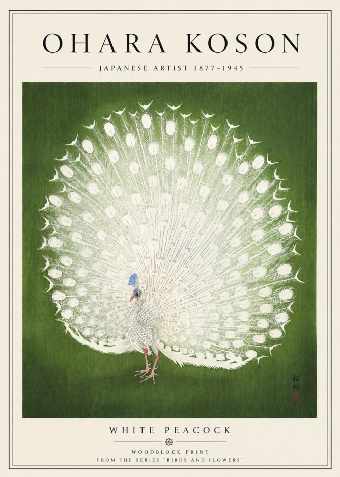 Ohara Koson White Peacock No5 - Poster