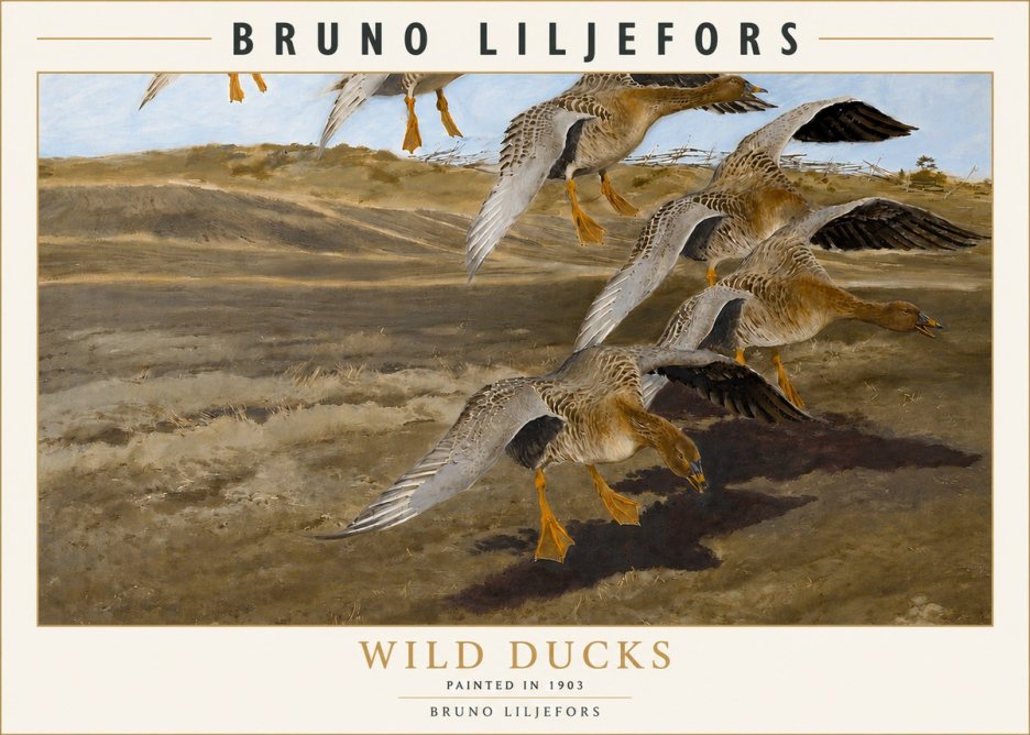 Bruno Liljefors Wild Ducks I No3 - Poster