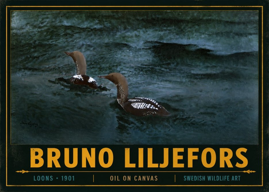 Bruno Liljefors Loons · 1901 No4 - Poster