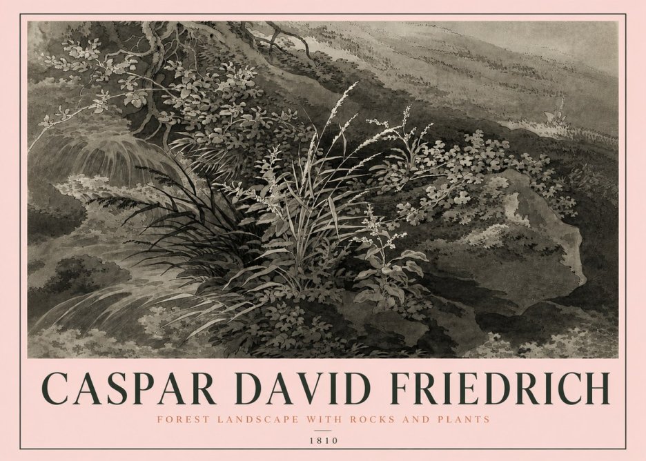 Caspar David Friedrich Forest Landscape with Rocks and Plants No4 - Poster