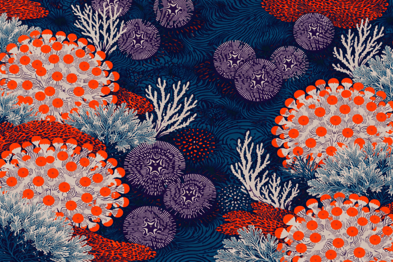 Uploaded
wallpaper