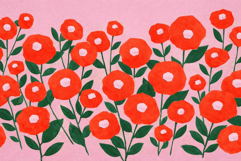 Uploaded
wallpaper